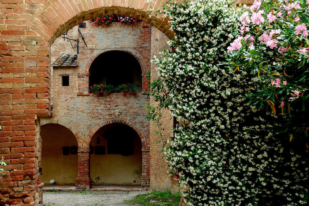 Agriturismo Castello Saltemnano Villa Буонконвенто Екстериор снимка