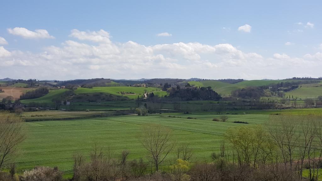 Agriturismo Castello Saltemnano Villa Буонконвенто Екстериор снимка